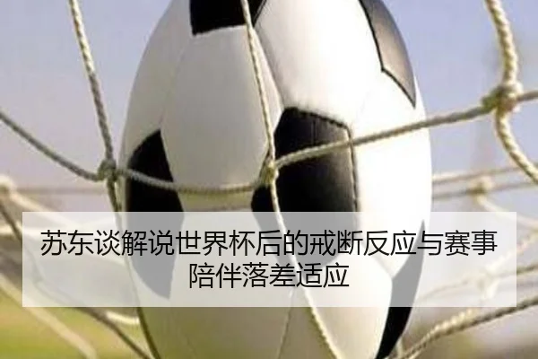 苏东谈解说世界杯后的戒断反应与赛事陪伴落差适应